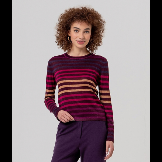 Camisola de malha fina com decote redondo, perfeita para looks versáteis do dia a dia. Apresenta um padrão de riscas em bordô, rosa , amarelo e roxo, complementado por detalhes em brilho dourado que adicionam um toque de sofisticação.