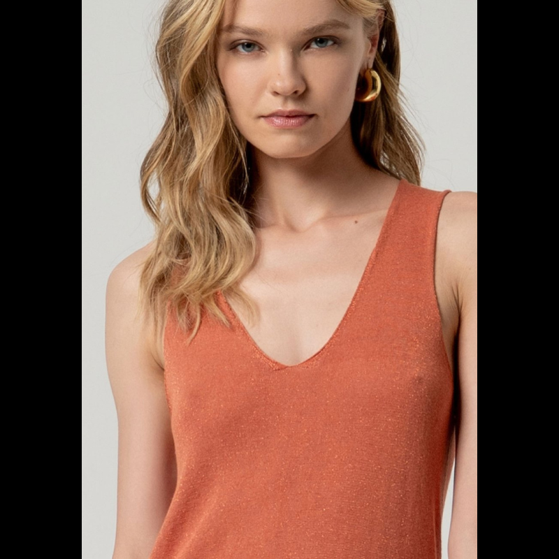 Top confecionado em malha fina de qualidade, de alças amplas e decote em V que realçam a silhueta com elegância. O tom telha enriquecido com detalhes Lurex proporciona um brilho subtil e refinado, tornando-o uma escolha versátil para composições sofisticadas.